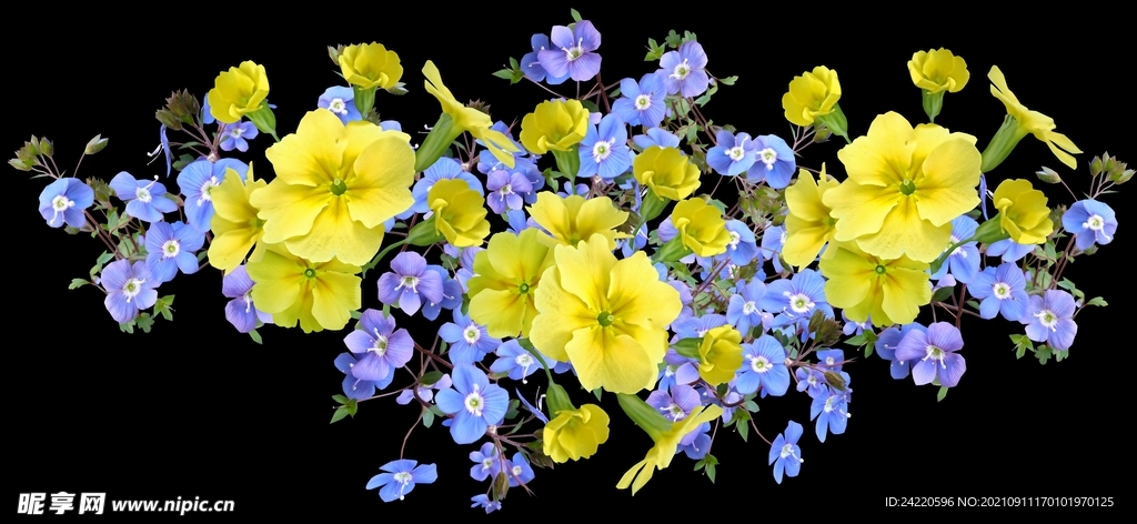 鲜花