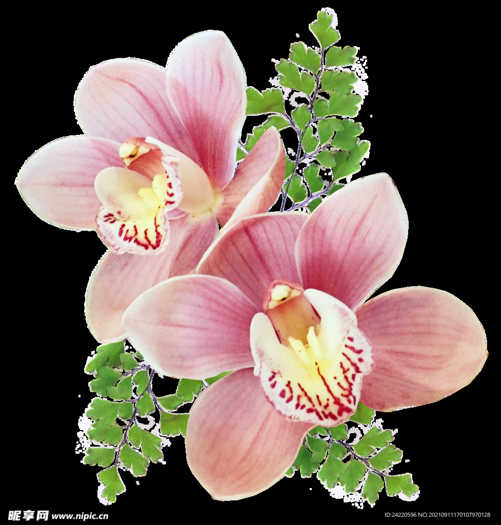 鲜花