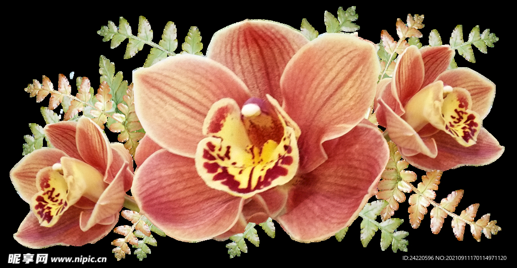 鲜花