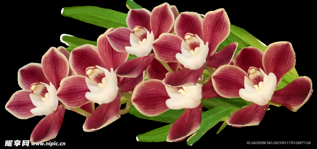 鲜花