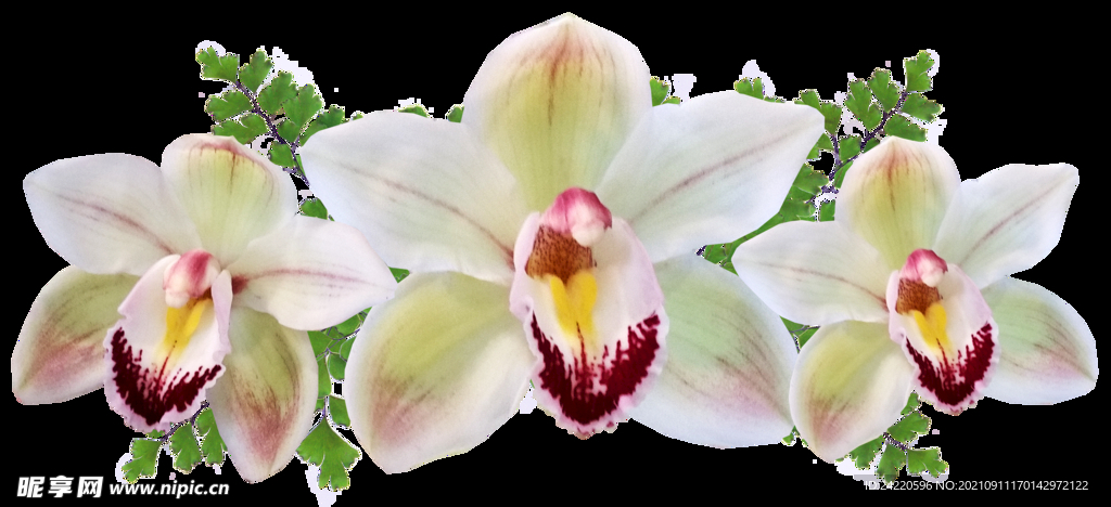 鲜花