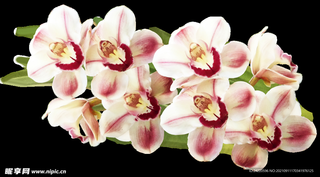 鲜花