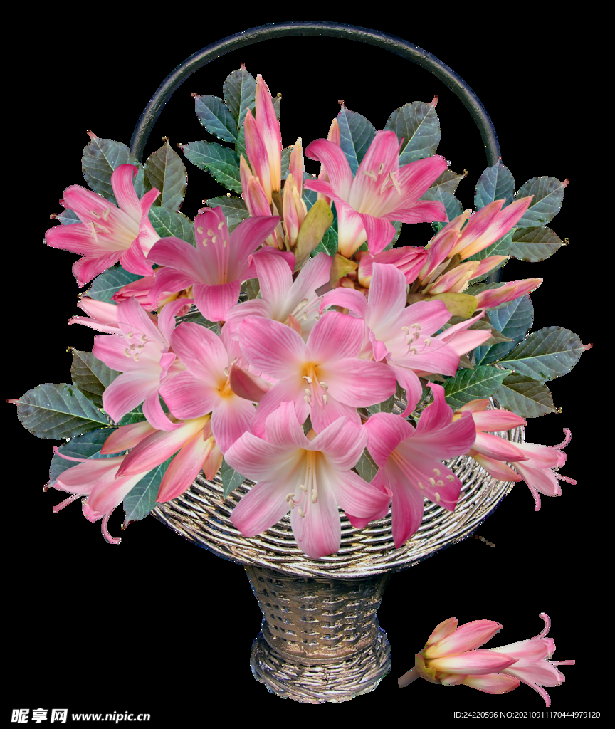 鲜花