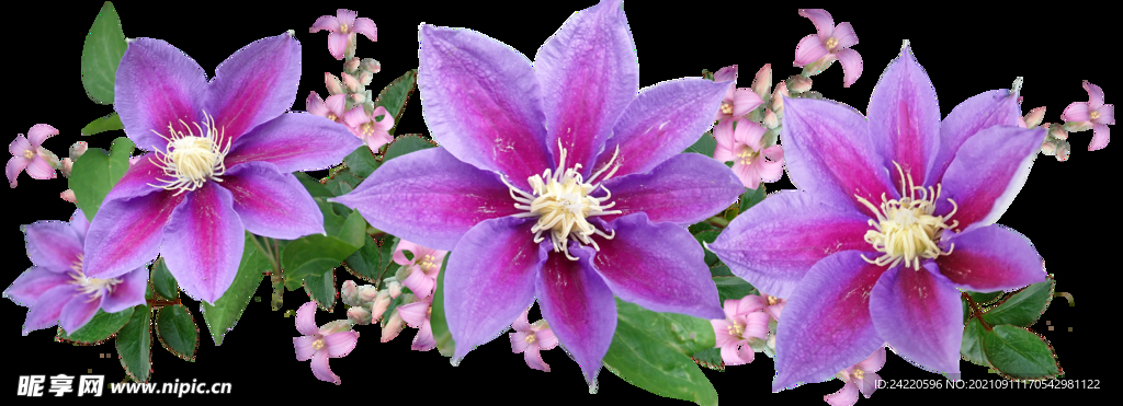 鲜花