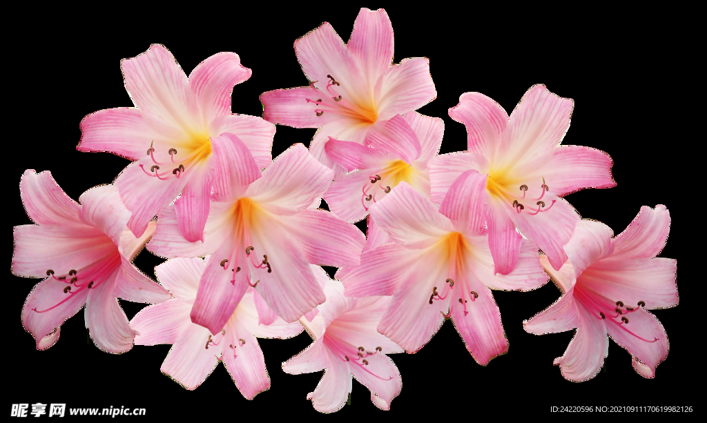 鲜花