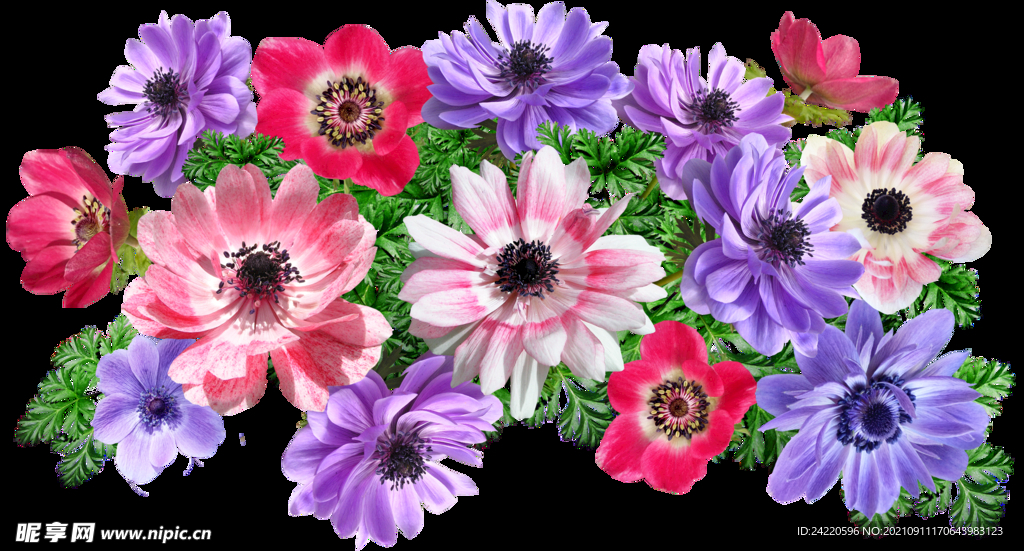 鲜花