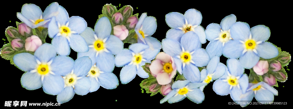 鲜花