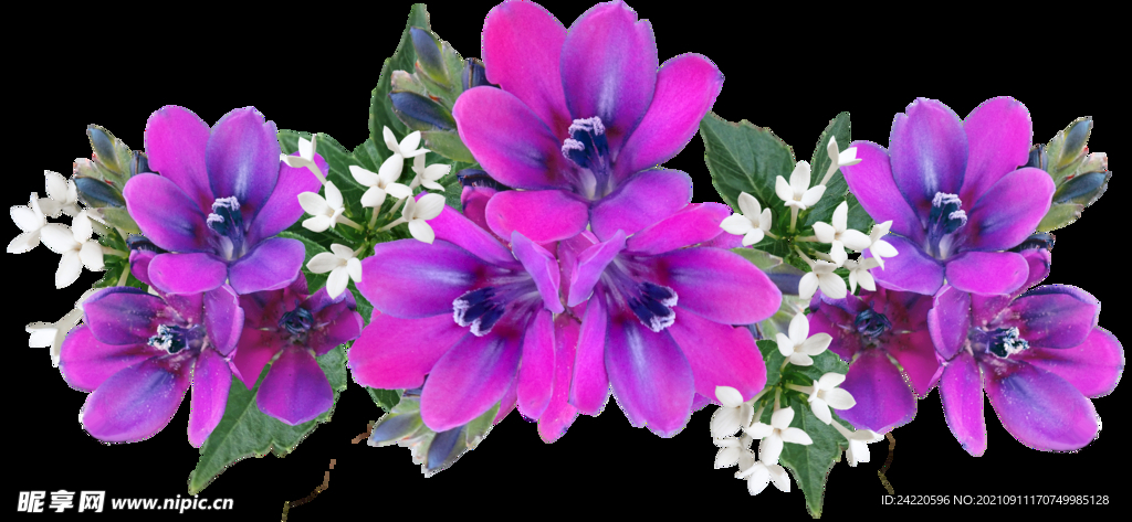 鲜花