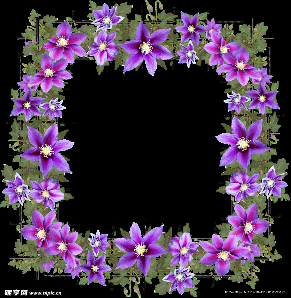 鲜花