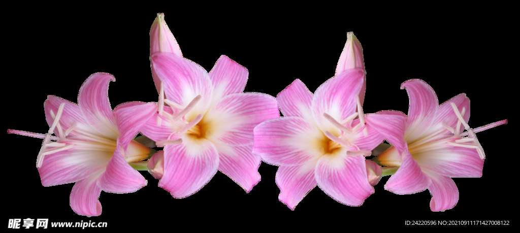 鲜花