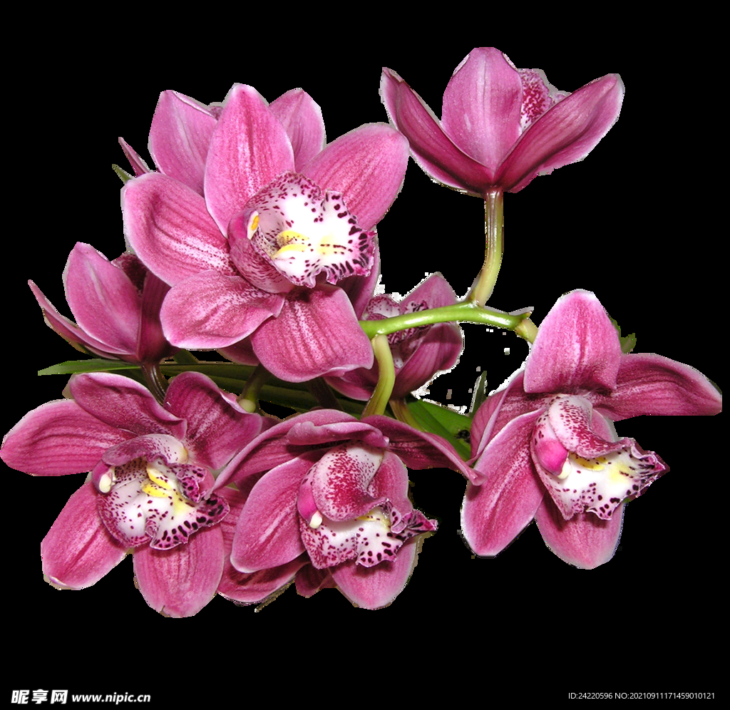 鲜花