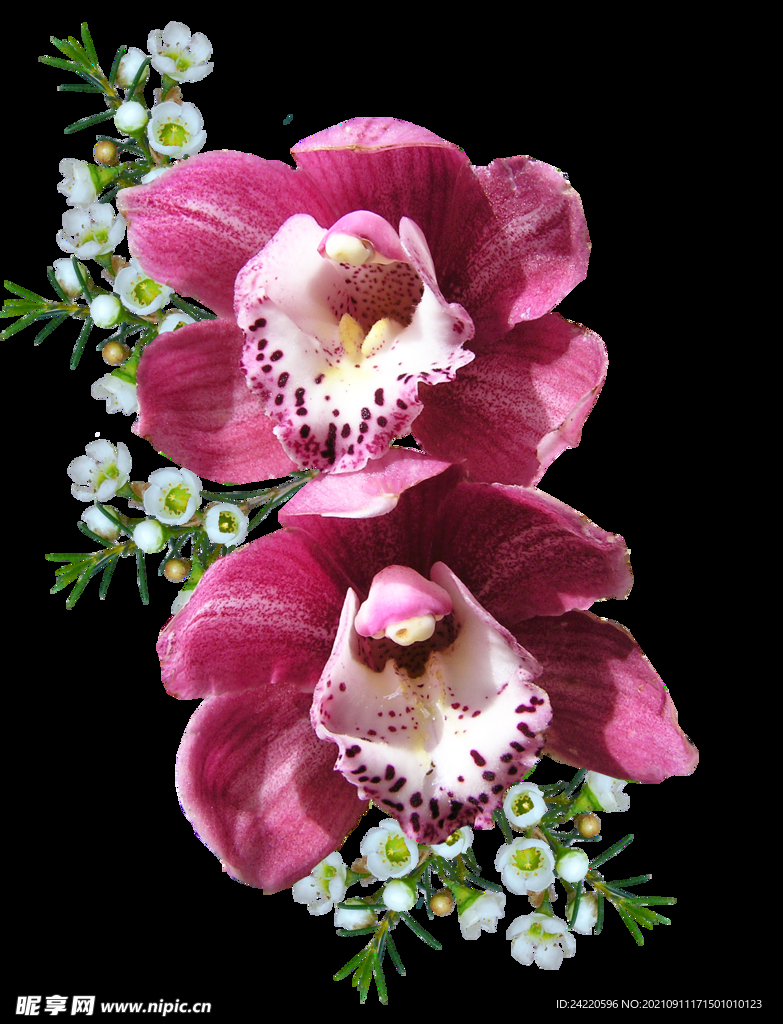 鲜花