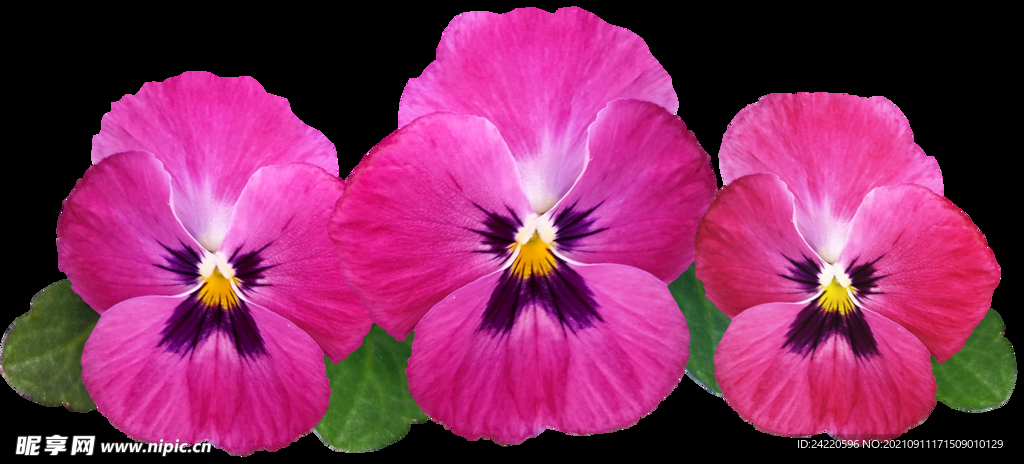 鲜花