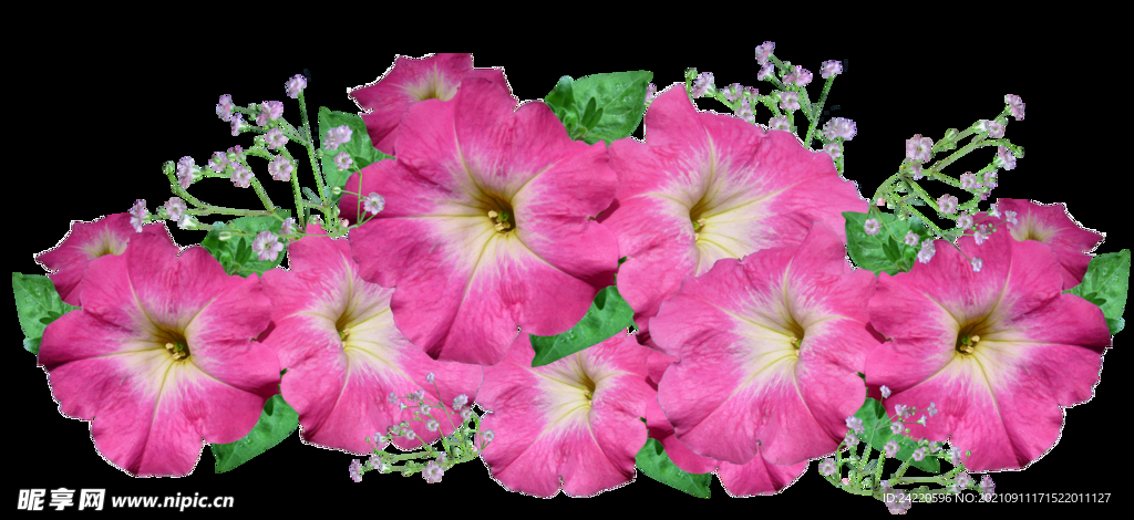 鲜花