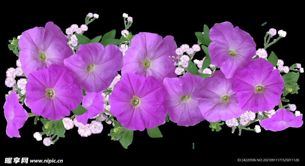 鲜花