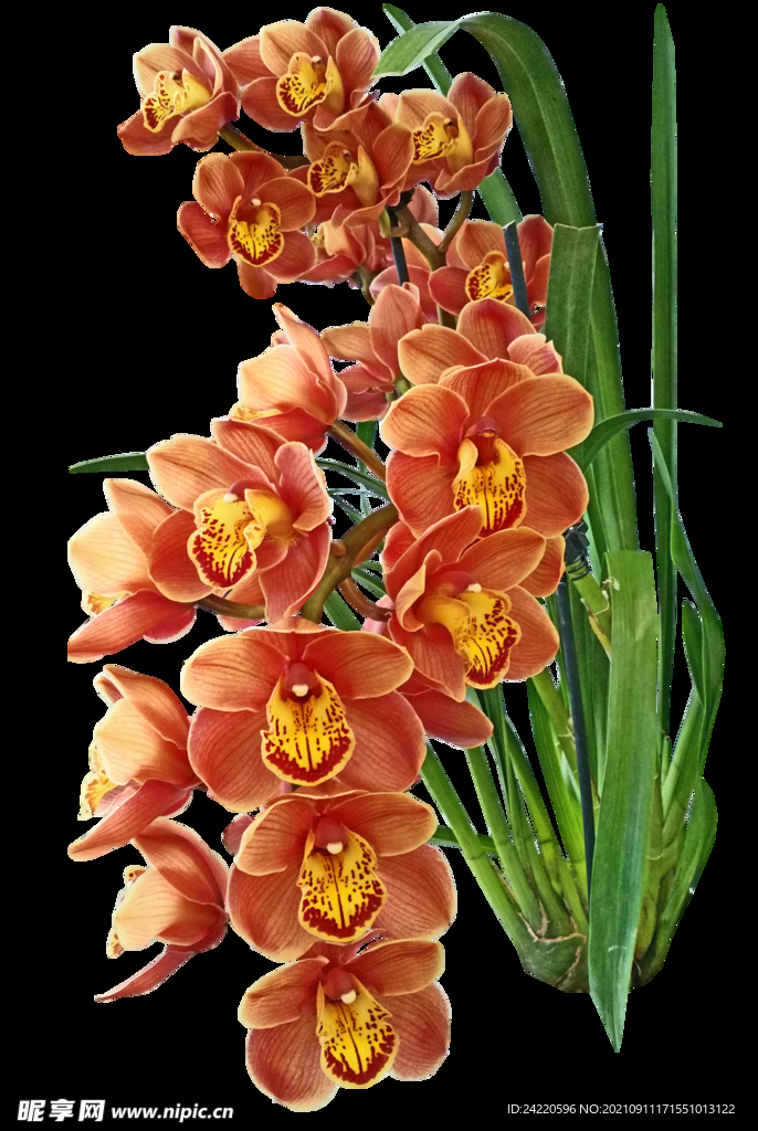 鲜花