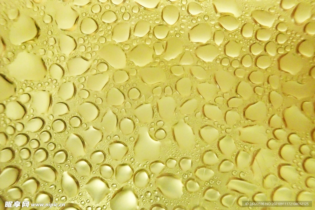 金色水泡