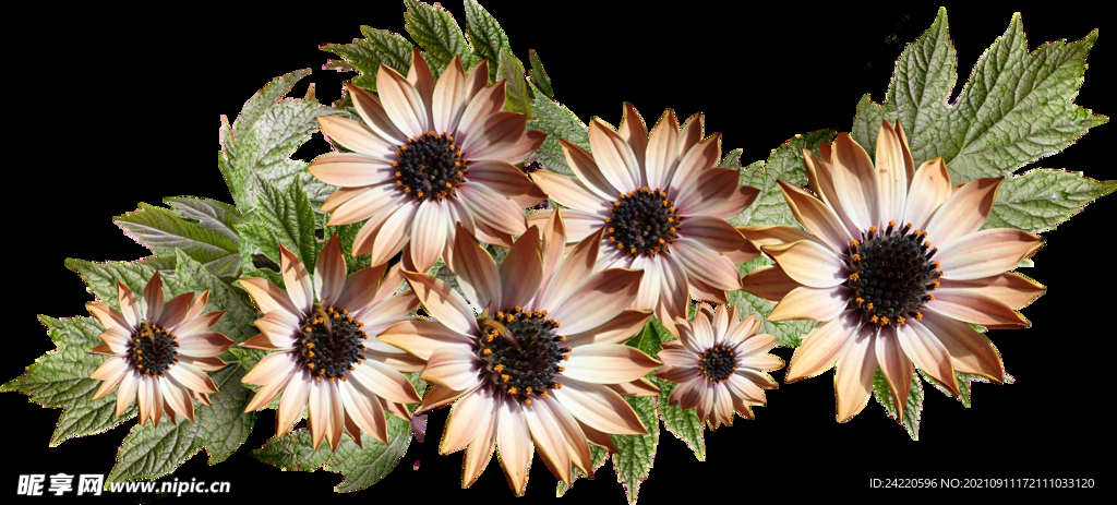 鲜花