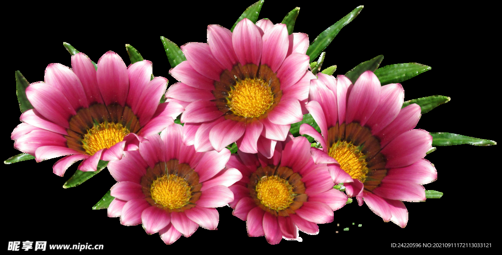 鲜花