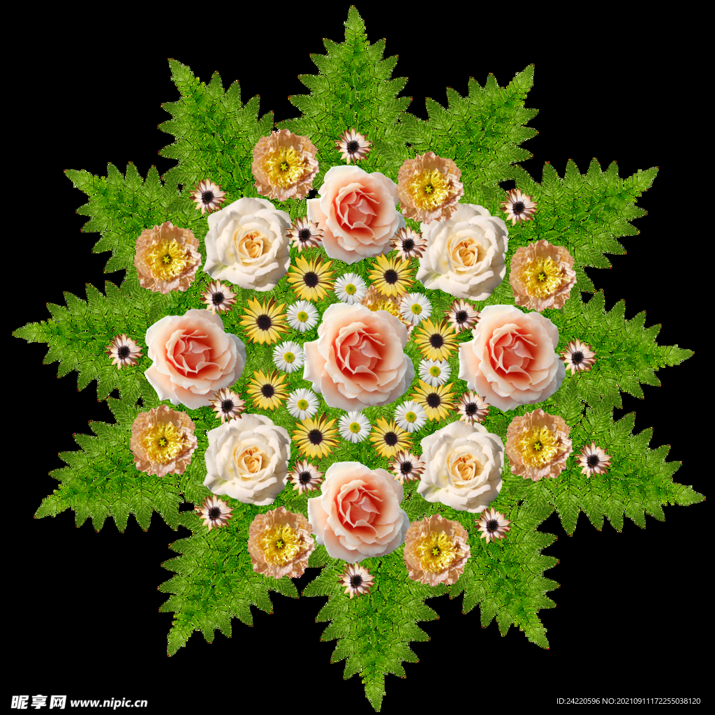 玫瑰花