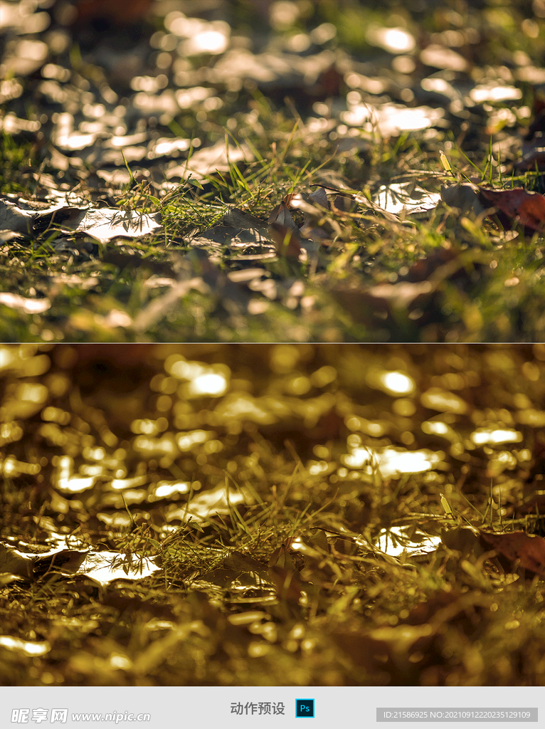 PS动作预设复古动作