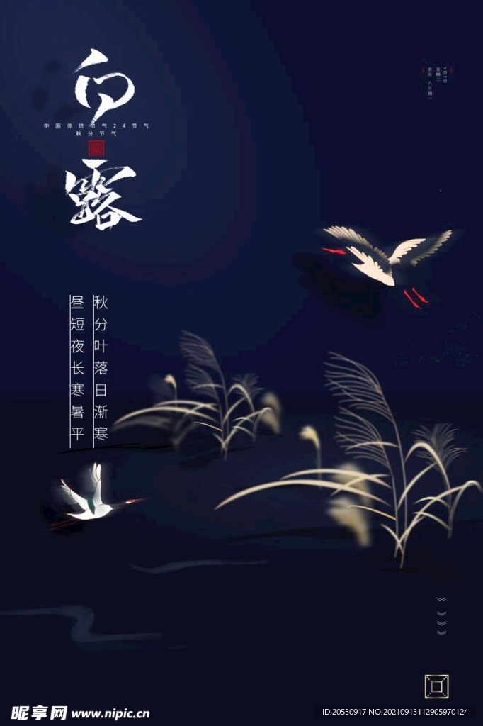 白露节气海报