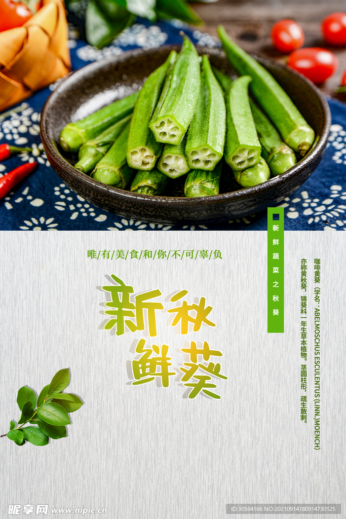 新鲜秋葵