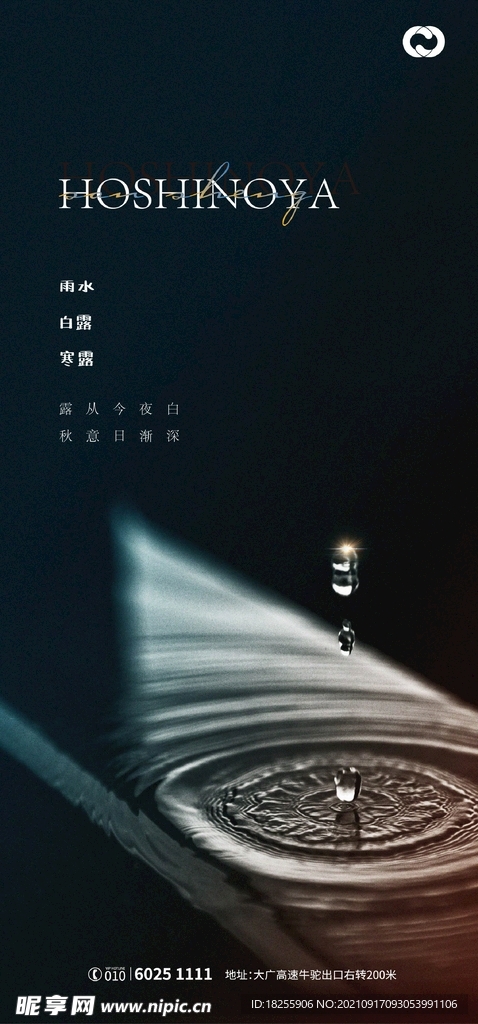 雨水白露寒露节日海报
