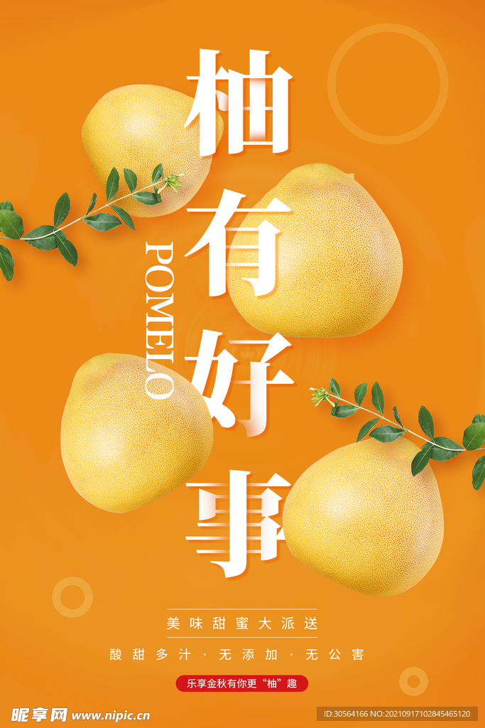 柚子水果推广海报