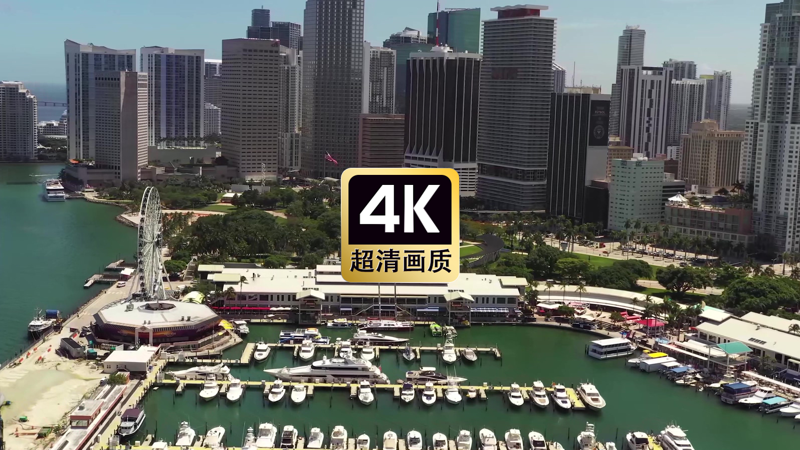 航拍港口城市建筑群