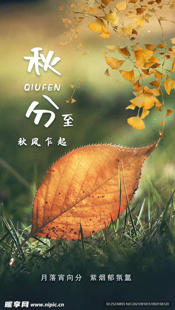 秋分海报