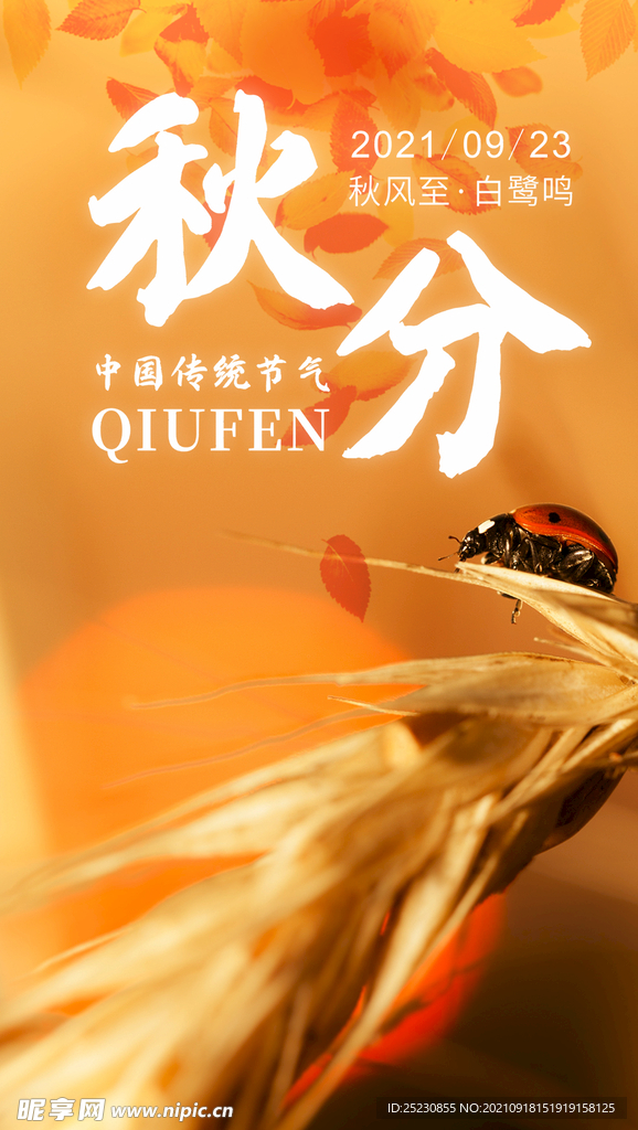 秋分海报
