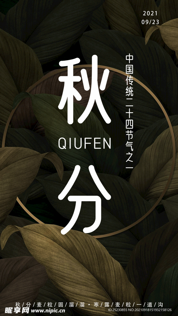 秋分海报