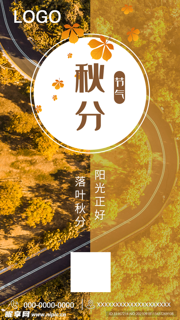 秋分