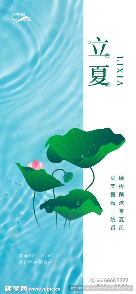 立夏荷叶节气海报.
