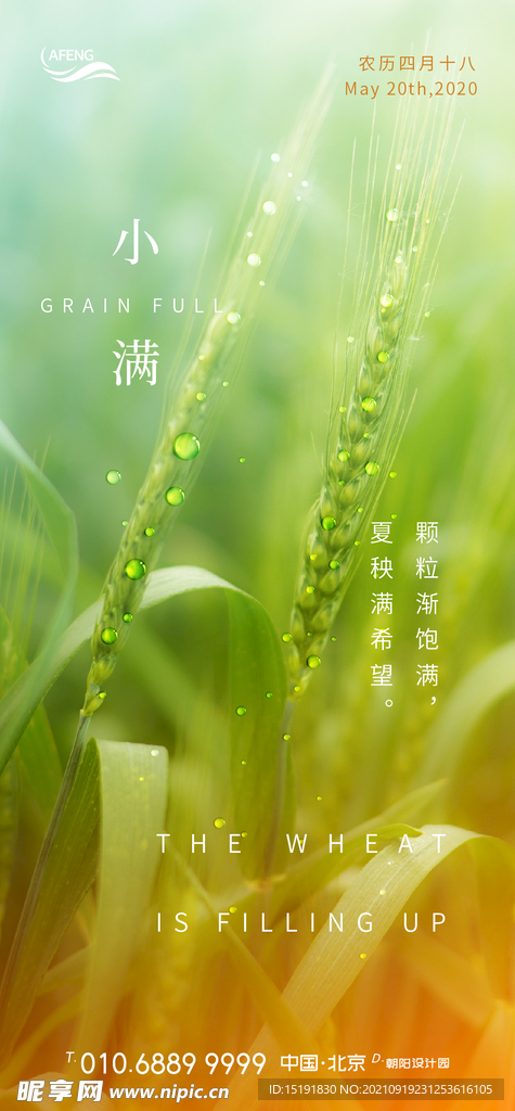 绿色希望小满节气海报