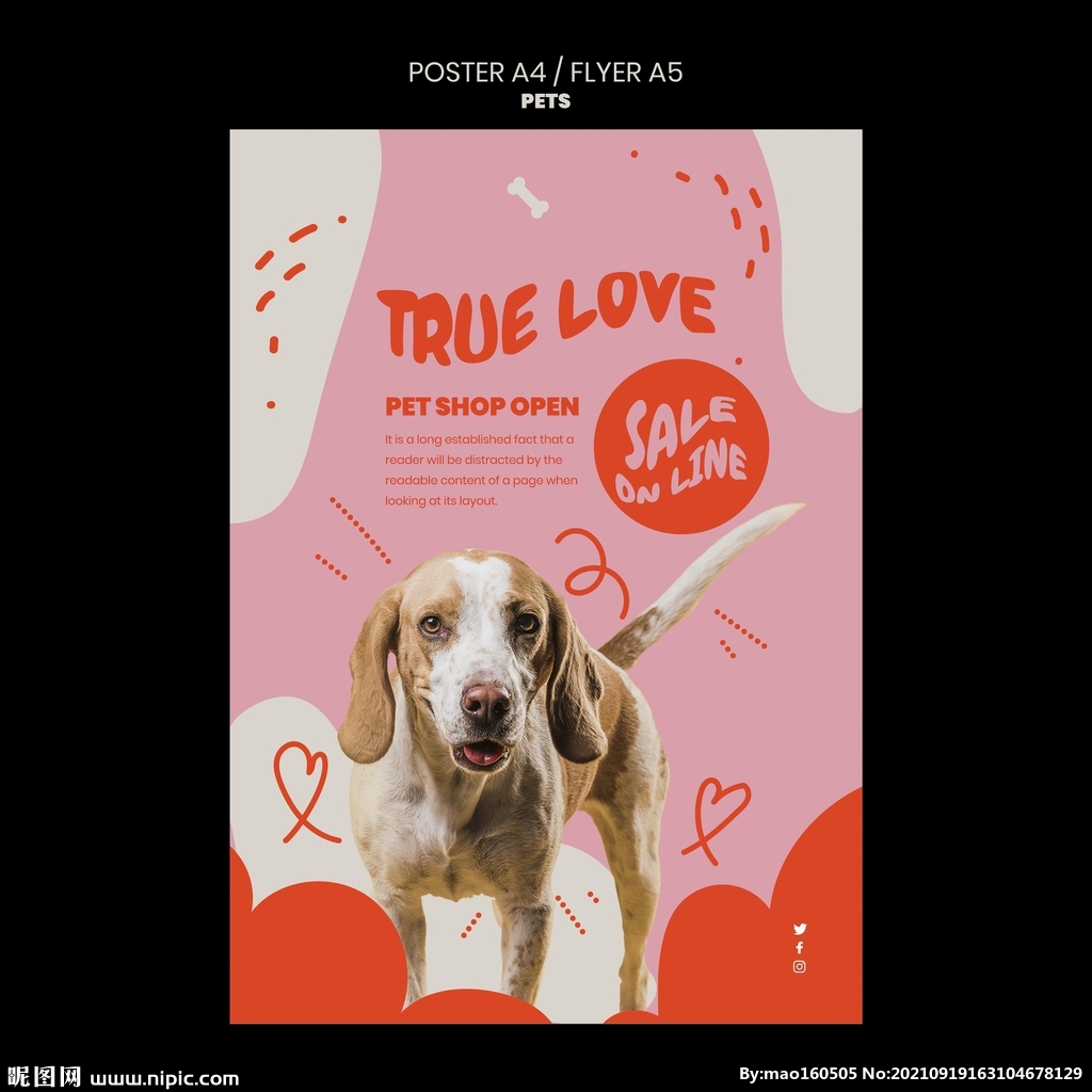 宠物海报