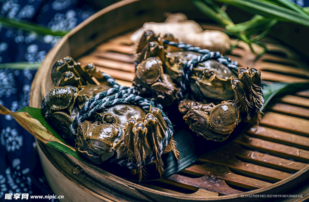 大闸蟹图片