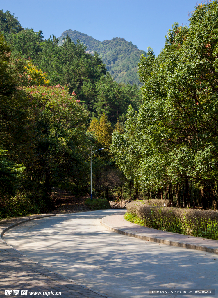 十堰牛头山国家森林公园