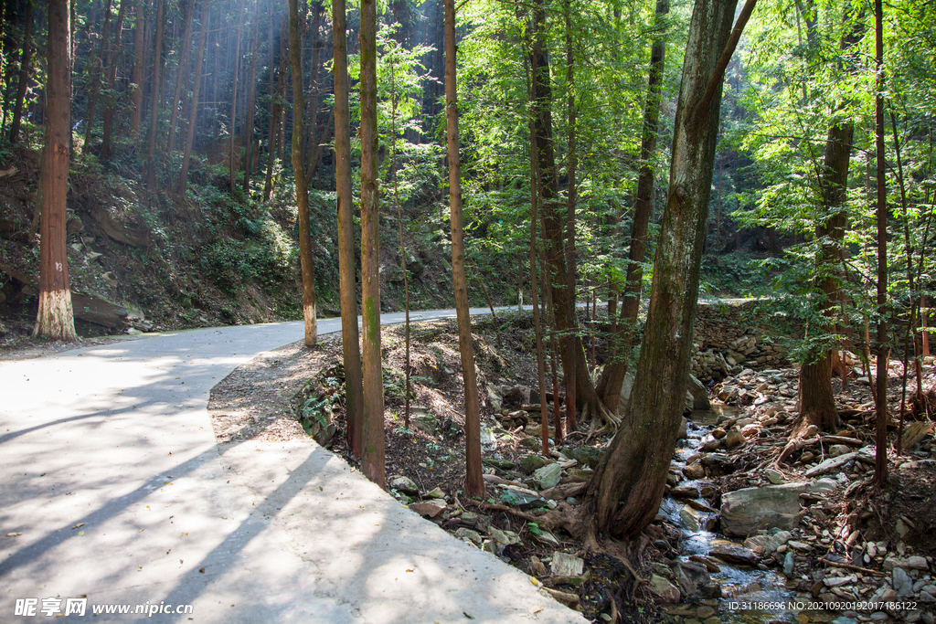 十堰牛头山国家森林公园