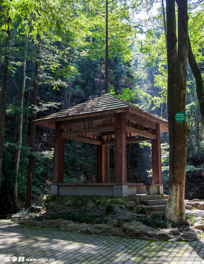 十堰牛头山国家森林公园