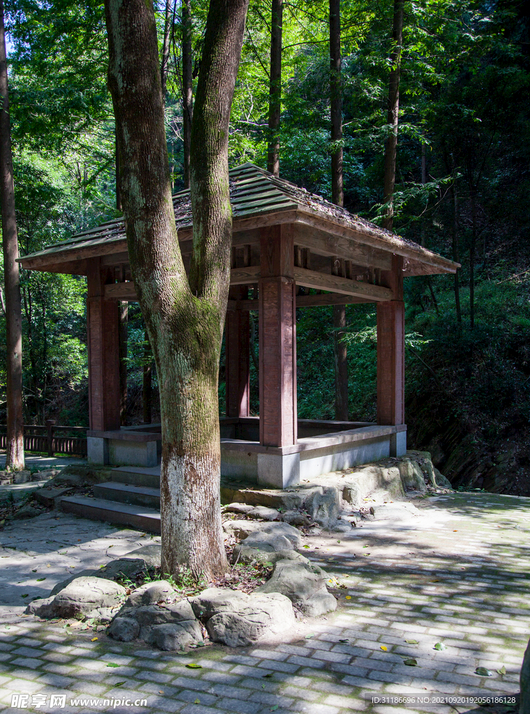 十堰牛头山国家森林公园