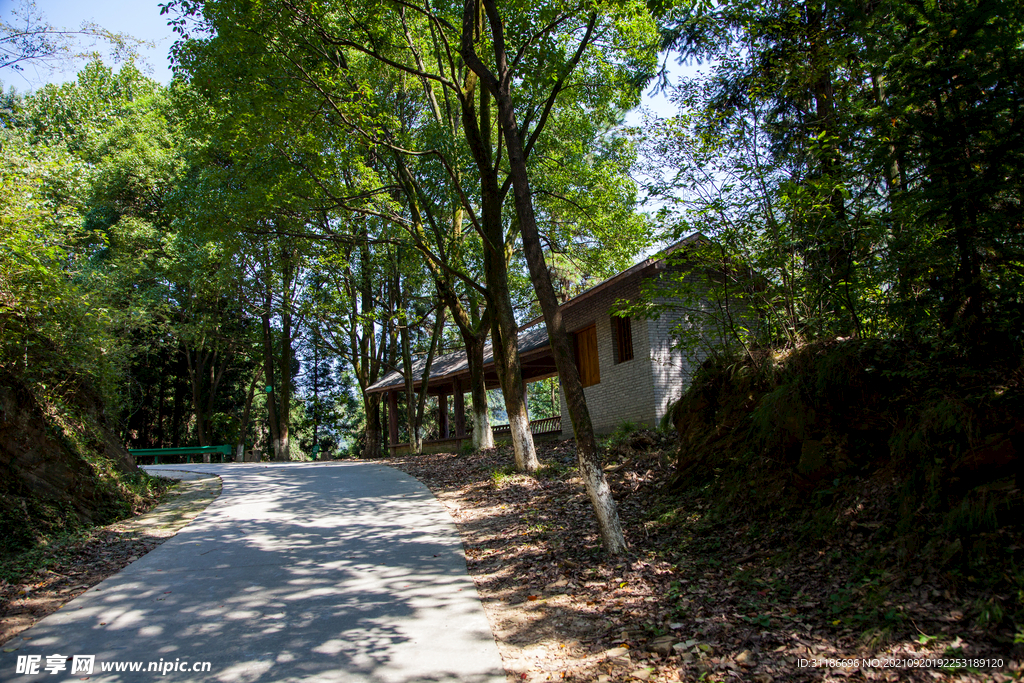 十堰牛头山国家森林公园