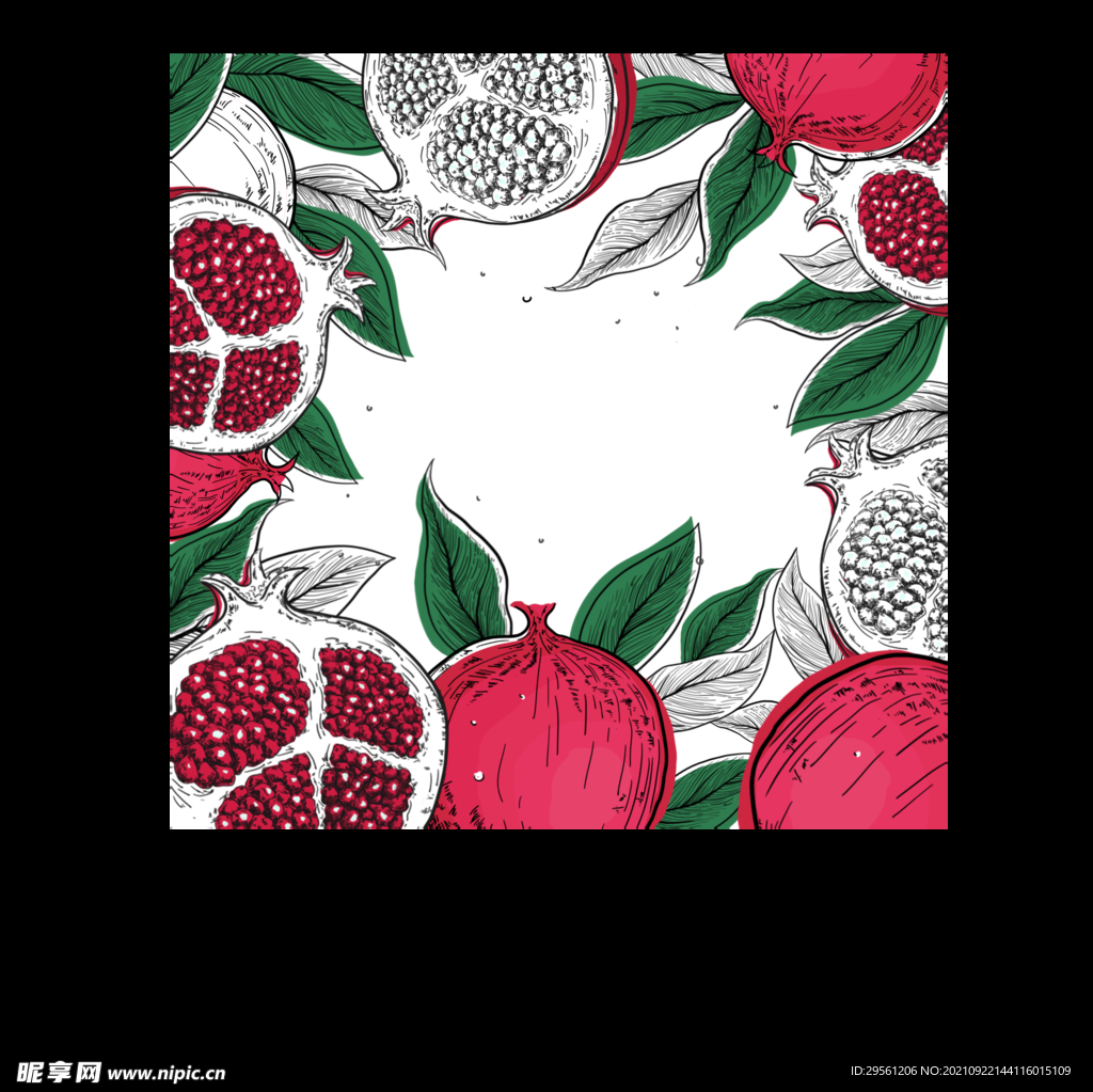 石榴插画