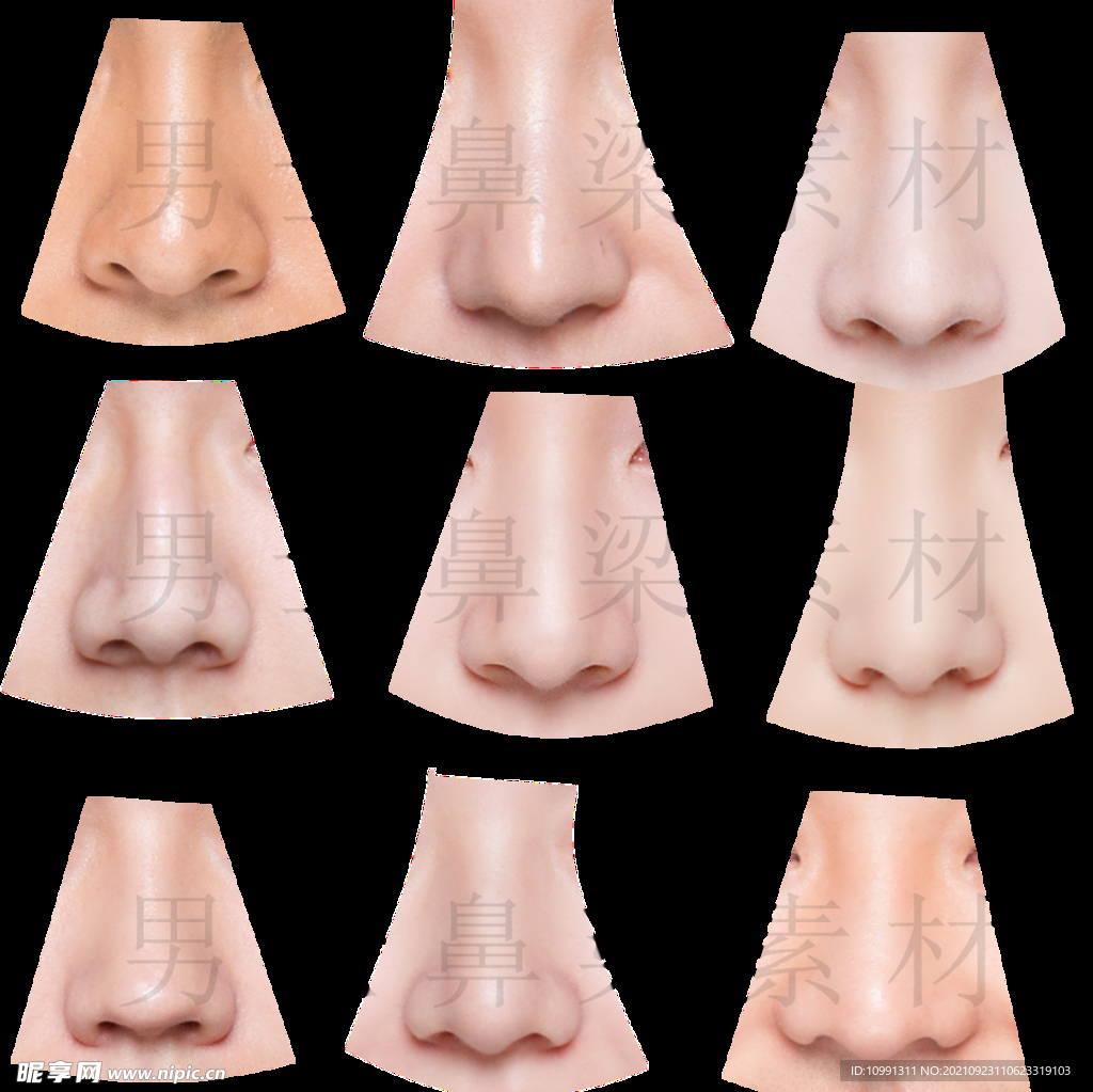 鼻梁素材
