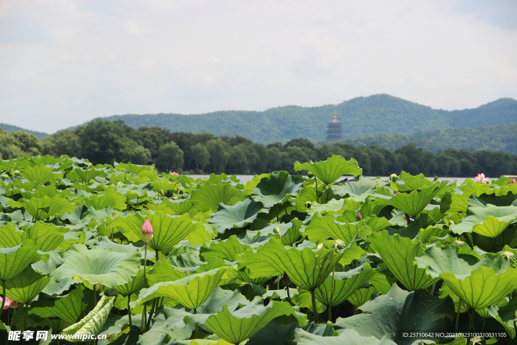 杭州西湖景色