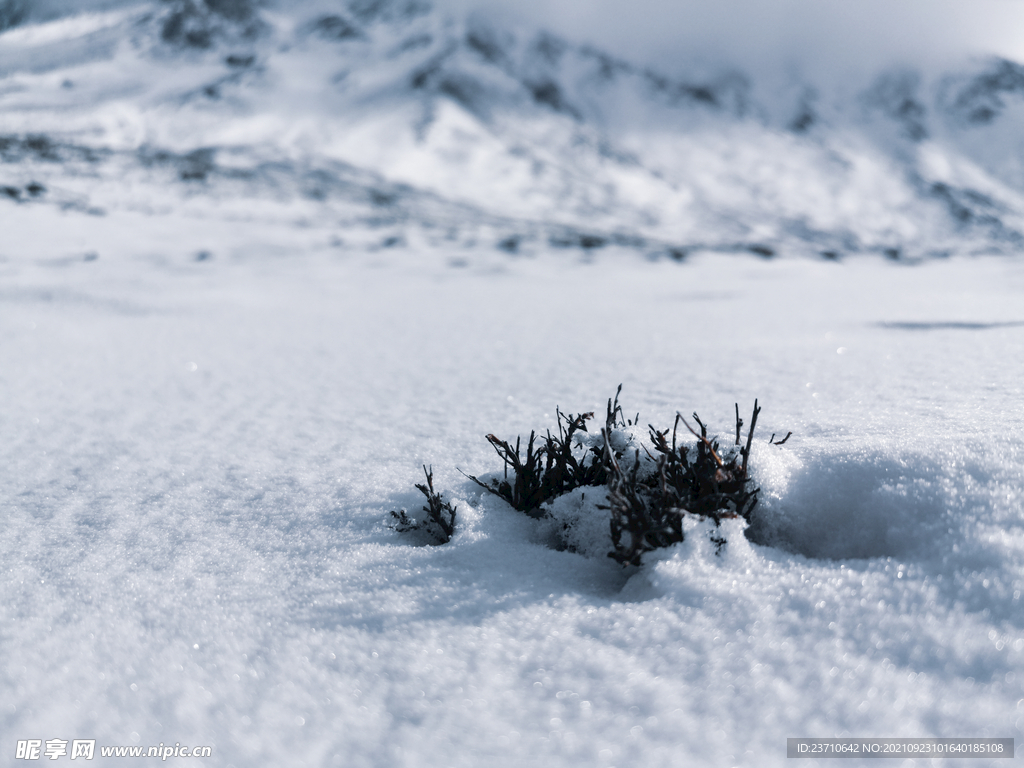 雪景背景 