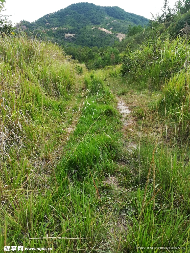 草原古路