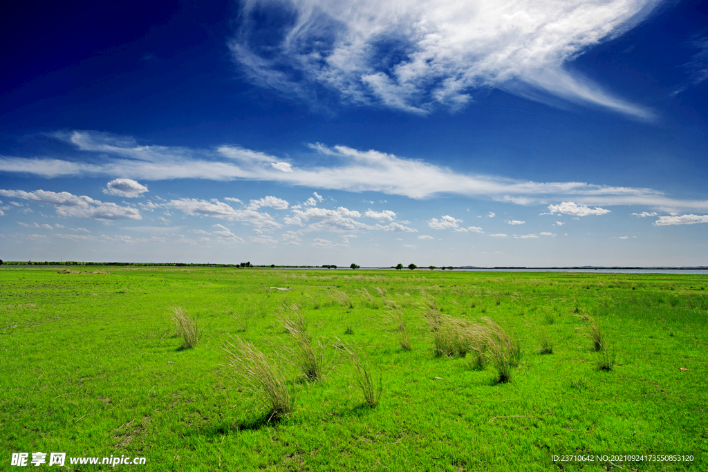草原风景图