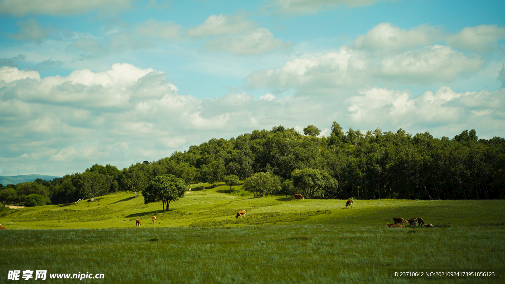 草原风景图